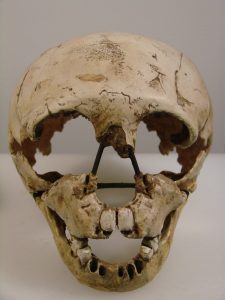 homo_neanderthalensis_face_university_of_zurich