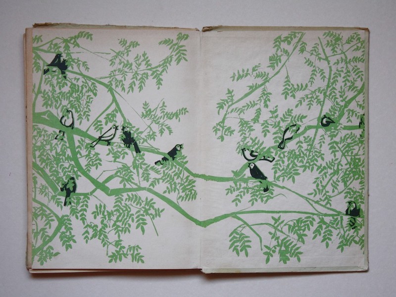 איור של ציפורים על עץ, מתוך הספר "עיניים שמחות" פורזץ