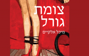 עטיפת הספר "צומת גורל" צילום: עיצוב עטיפה: נעמה כרמלי |סטודיו מודן | הוצאת מודן