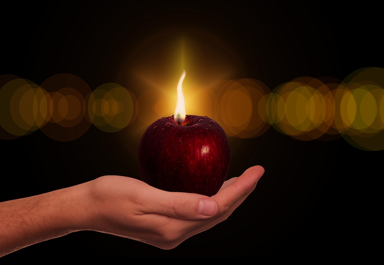 תפוח בגן העדן מייצג את השיר של יוכבד בן דור